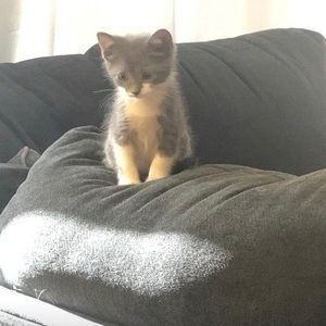 Meet your Posher, Deanna